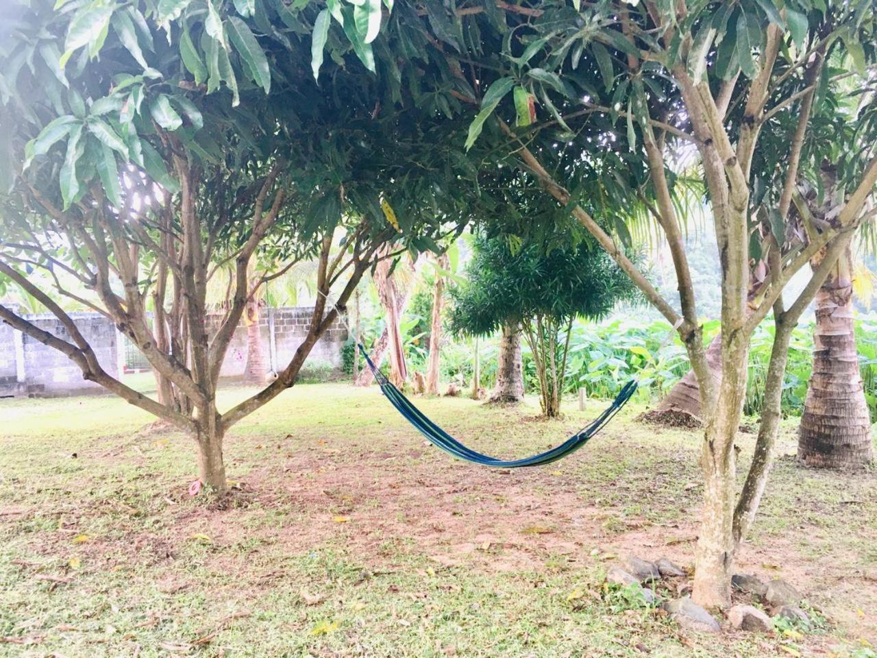 Secret Garden Mirissa Villa Bagian luar foto